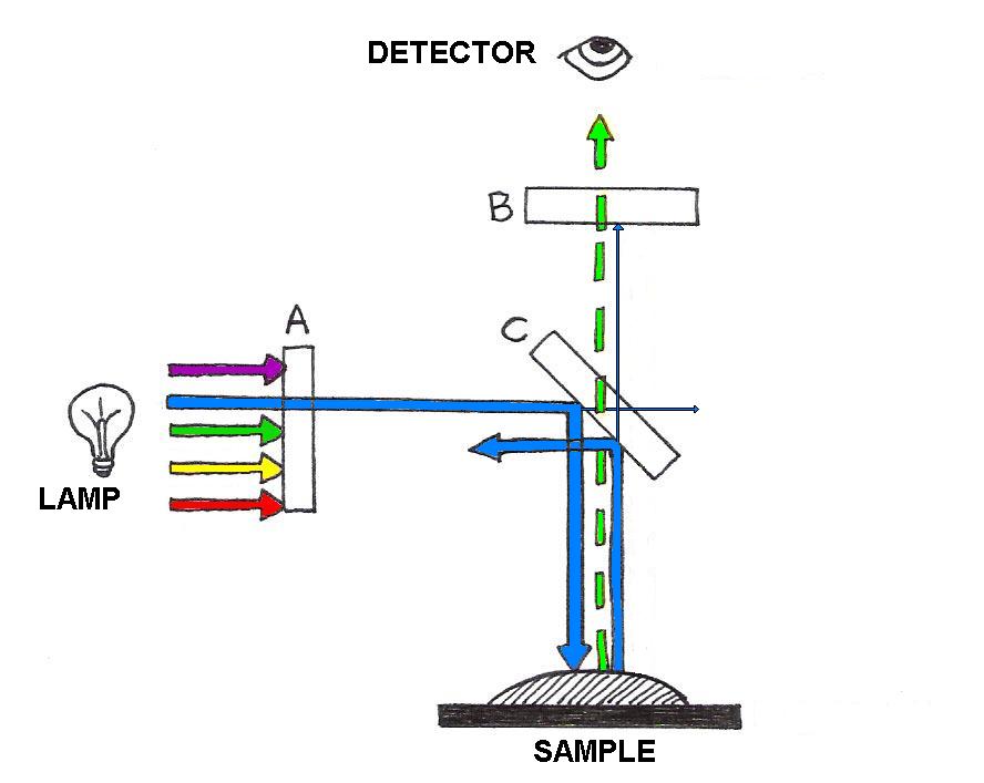 Fluorescence microscopy is achieved with the aid of wavelength-selective filters.  These filters select a narrow range of wavelengths for illumination of a sample, and separate the fluorescence from the portion of the illumination scattered by the sample.