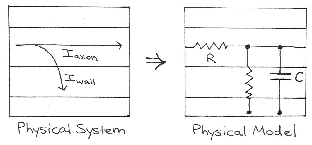 The physical model shows wires, two resistors, and a capacitor that approximate the physical flow of charge through real axons.