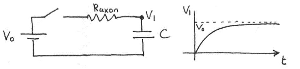 Voltage $V_1$ of a single neuron as a function of time.