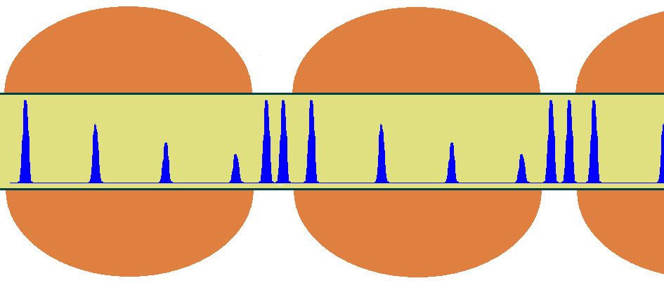 Propagation of action potentials through myelinated and unmyelinated regions of a myelinated axon.