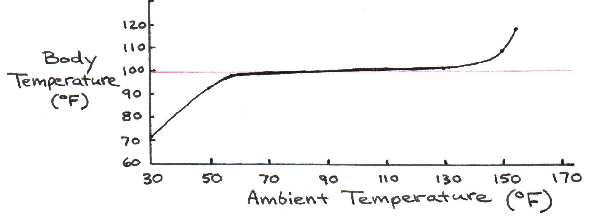 Effect of ambient temperature on internal body temperature. Note the stability of the core temperature despite wide variations in atmospheric temperature.