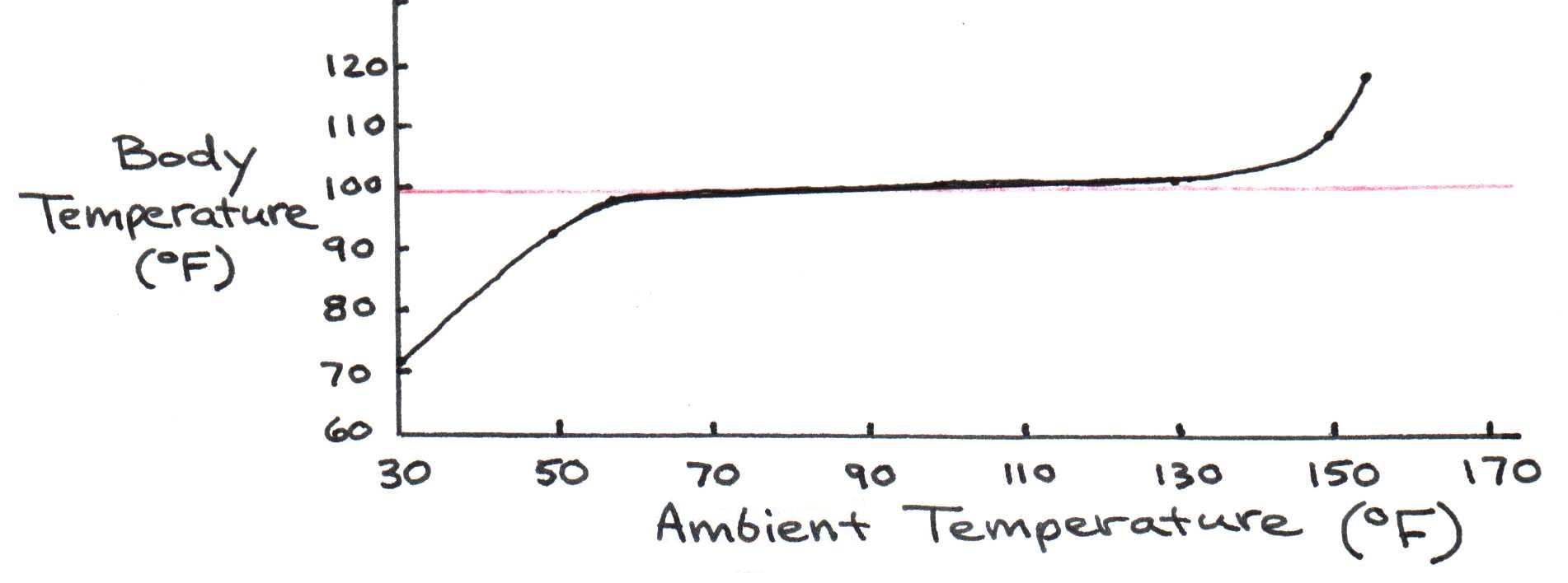 Effect of ambient temperature on internal body temperature.  Note the stability of the core temperature despite wide variations in atmospheric temperature.