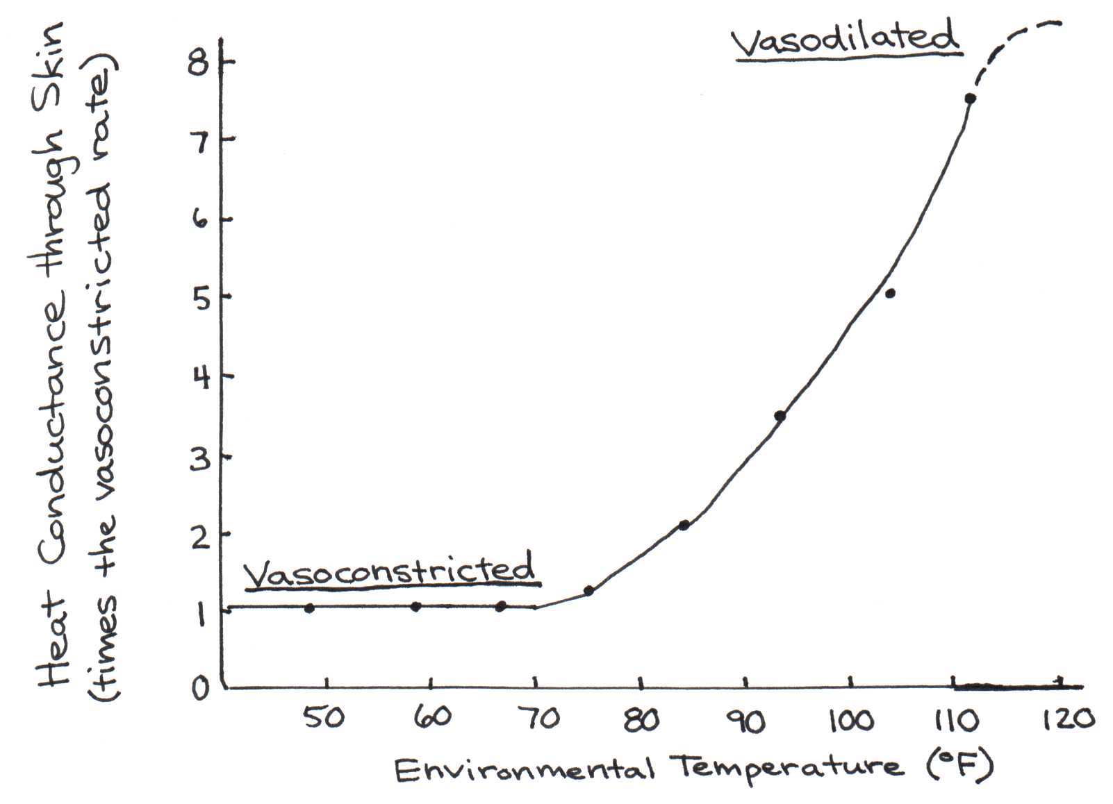 Effect of ambient temperature changes on heat conductance from the body core to the skin surface. At $110^{\circ}$F, the skin loses seven times as much heat through the skin because of vasodilation.