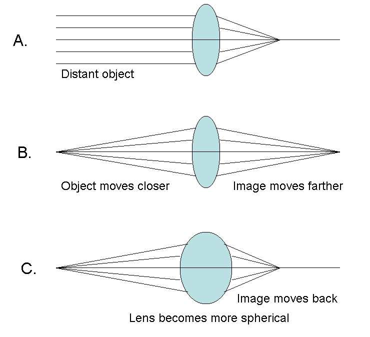 Effects of image distance and lens shape on the location of the image distance.