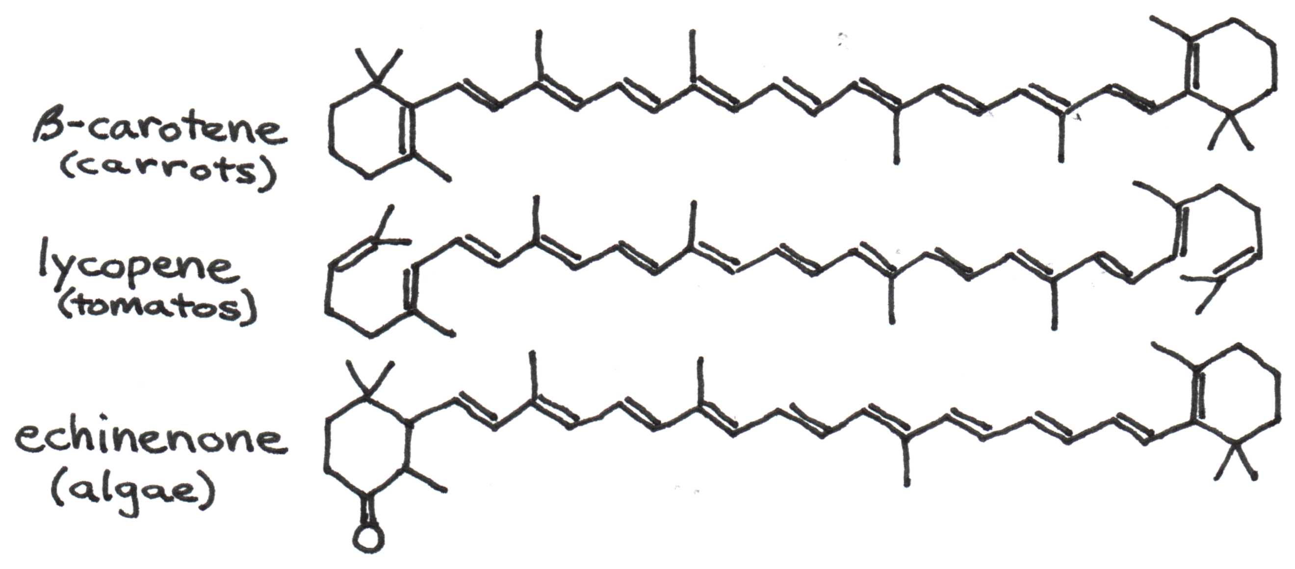 Structures for pigments found in carrots, tomatoes, and algae.  Note the high degree of conjugation, i.e., single-double bond repetition.