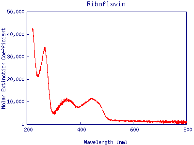 Absorption spectrum of riboflavin.