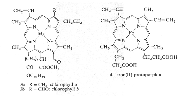 Chemical structures of chlorophyll (left) and heme (right).