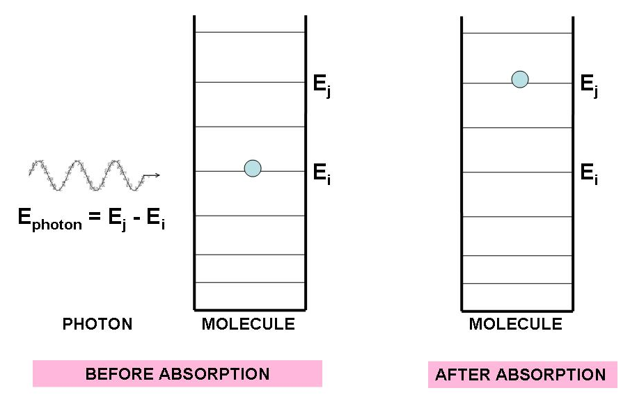 The absorption of a photons must follow energy conservation. A photon must have energy $E_{photon} = E_j - E_i$ to allow an electron to move from $E_i$ to $E_j$.