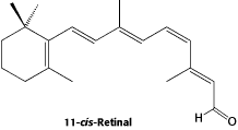 Chemical structure of retinol, the molecule that gives color vision.