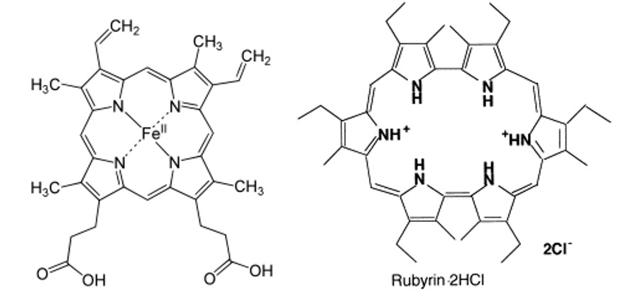 Ring-like conjugated molecules heme on the left and rubyrin on the right.