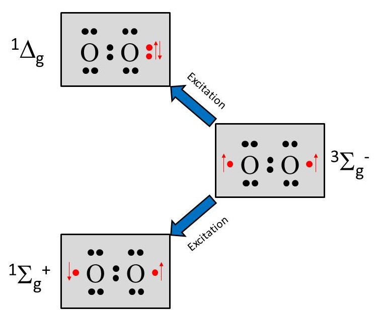 Electronic structure of singlet and triplet oxygen.