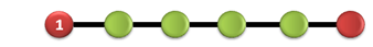 A model polymer with distinguishable ends and four hairpin sites.