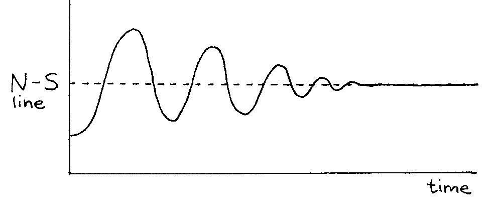 Motion of a perturbed compass magnet in an external magnetic field.