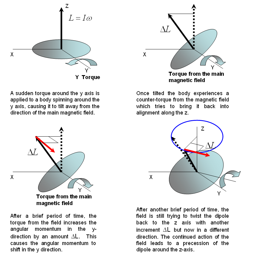 Precession caused by a torque exerted on a spinning body.