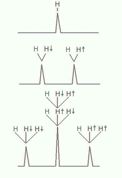 Splitting of NMR resonances due to spin-spin coupling