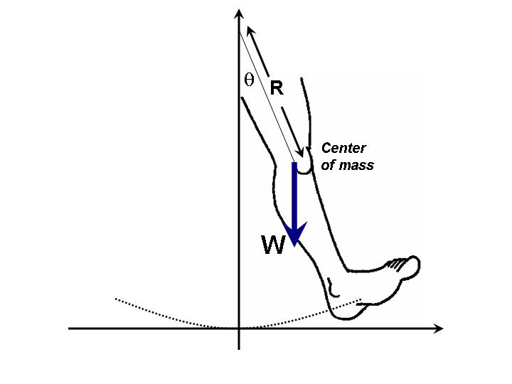 Free body diagram of the physical pendulum.