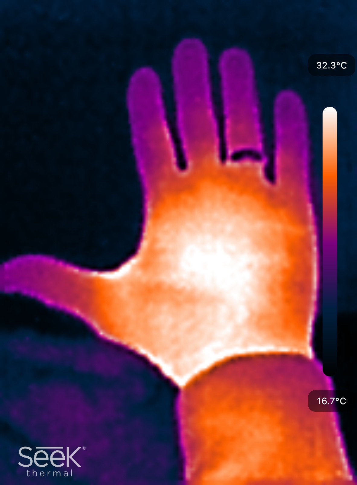 Image of a hand taken with a Seek Thermal Nano 200 cell phone camera.