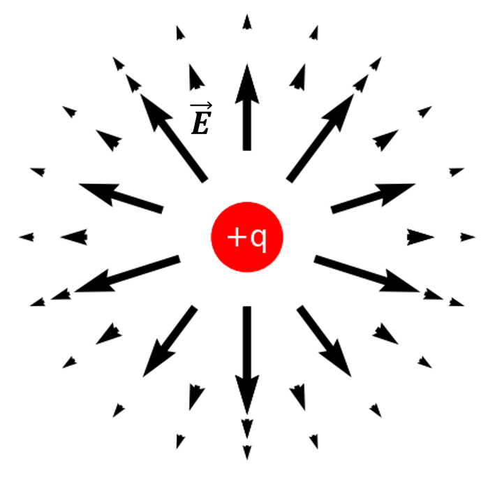 Electric field vectors near a point charge.