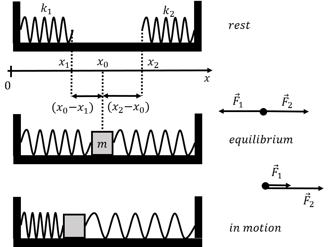 A mass attached to two different springs.