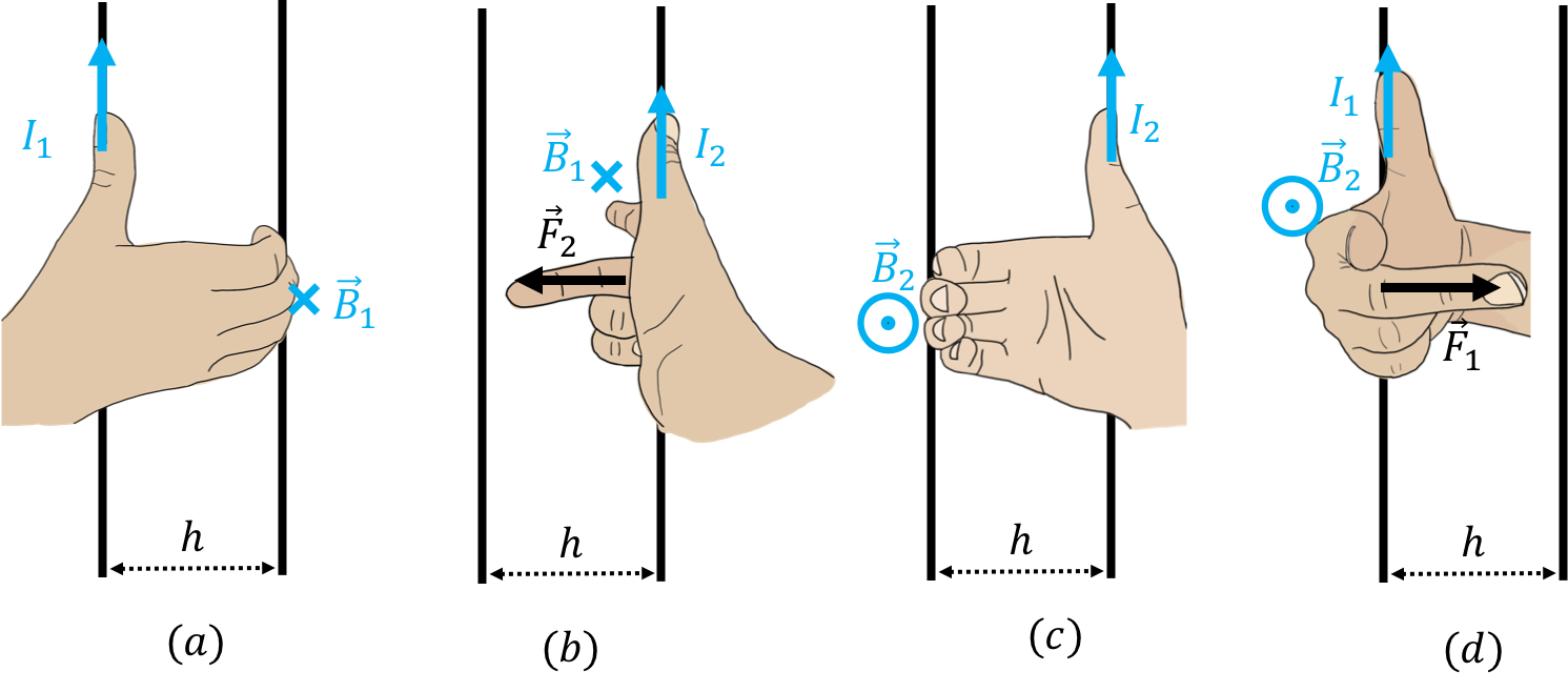 (a) Axial right hand rule to find $\vec{B_1}$. (b) Right hand rule to find $\vec{F_2}$. (c) Axial right hand rule to find $\vec{B_2}$. (d) Right hand rule to find $\vec{F_1}$.