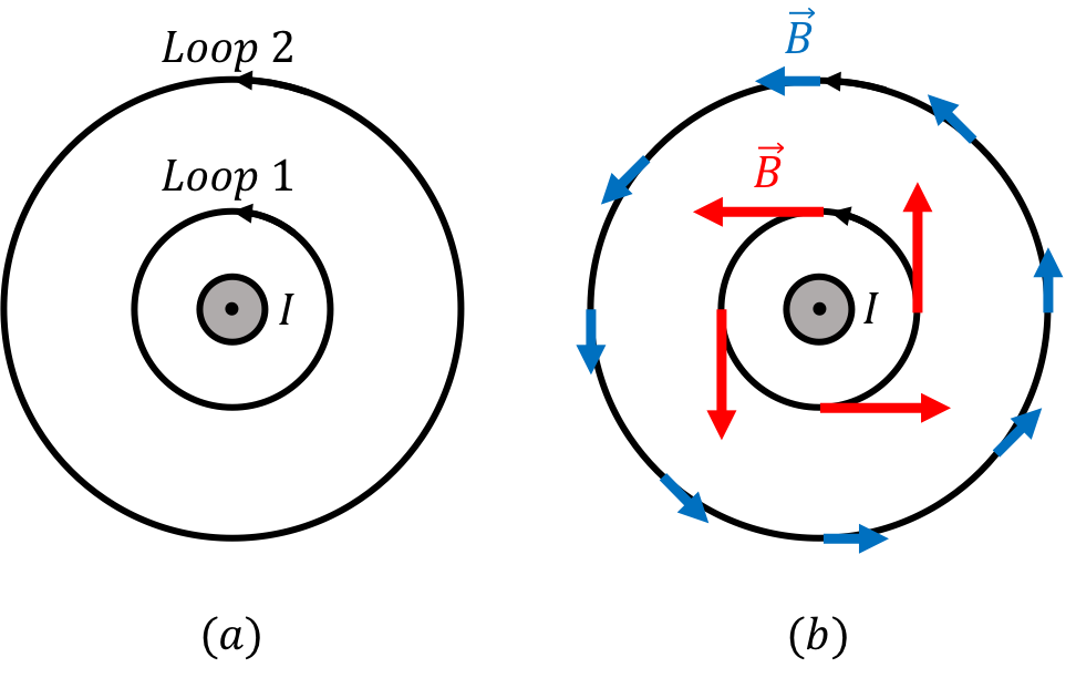 Left: 2 Amperian loops around a current carrying wire. Right: Magnetic field vectors around each loop.