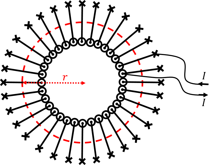 An Amperian loop of radius $r$ to determine the magnetic field inside of a toroid. Note that the magnetic field everywhere outside the toroid must be zero (think of the current enclosed by Amperian loops).