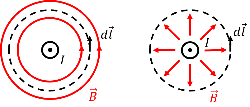 By symmetry, the magnetic field from a current-carrying infinite wire (illustrated with current coming out of the page), must either form concentric circles (left panel), or be in the radial direction (right panel). We know that the former (circles, left panel) is the correct choice. The dotted lines show "Ampèrian loops" that one can use to calculate the integral in Ampère's Law.