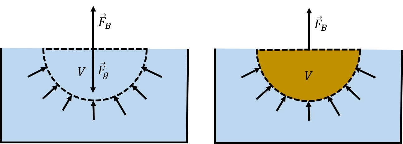 (Left:) The weight of a fluid element, $\vec F_g$, is supported by the net upwards force from the pressure, $\vec F_B$, of the fluid below it. (Right:) If the fluid element is removed and replaced with an object, there will still be the same net upwards force, $\vec F_B$, from the pressure of the fluid, which is now exerted on the object.