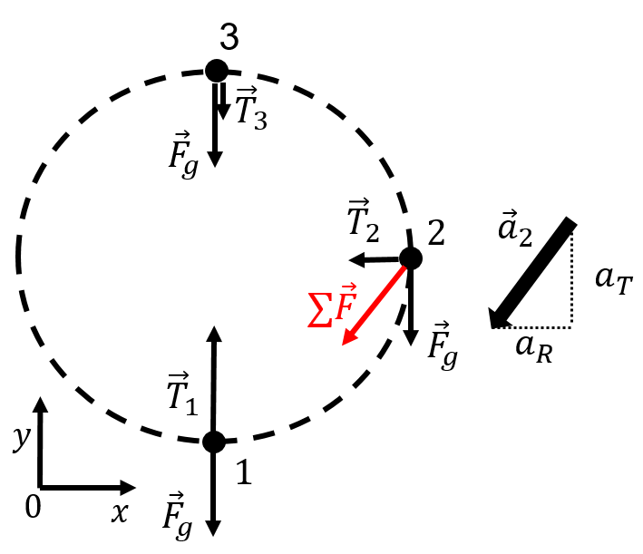 A ball attached to a string undergoing circular motion in a vertical plane.