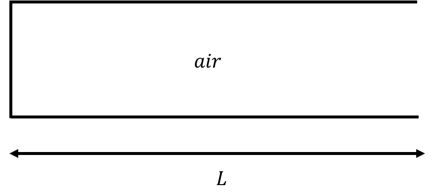 A clarinet (of length $L$) modelled as an air column that is closed at one end.