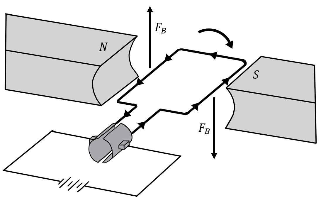 Illustration of a DC electric motor. Current circulates in the coil resulting in a torque from the magnetic field. Once the coil is aligned with the magnetic field, the direction of the current in the coil is inverted, so that the coil continues to feel a torque. The current is inverted using mechanical brushes that reverse the leads on the coil every half turn.