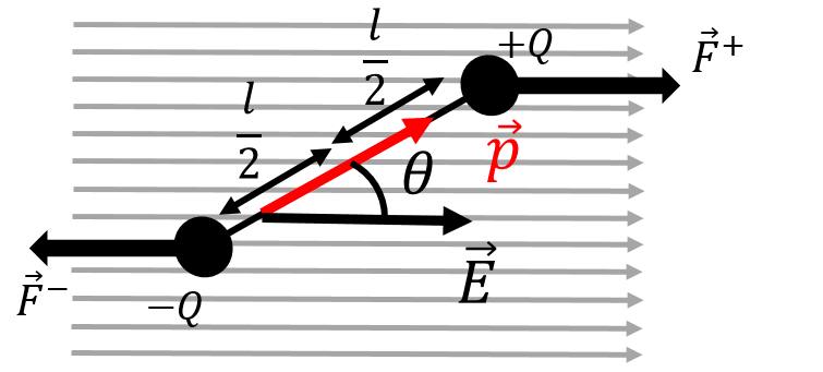 An electric dipole in a uniform electric field.