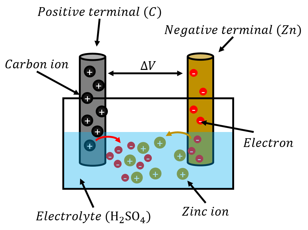 A simple electric cell, where zinc ions dissolve in sulfuric acid leaving electrons on the metal.