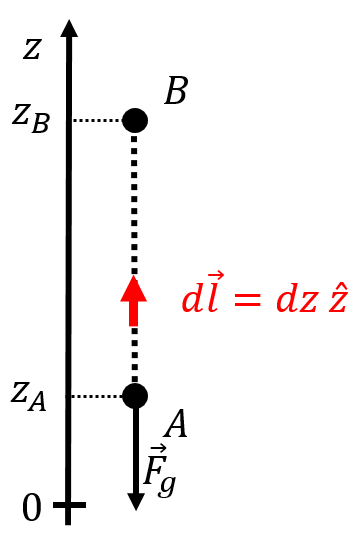 A vertical path for calculating the work done by gravity.