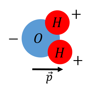 A water molecule can be modelled as an electric dipole.