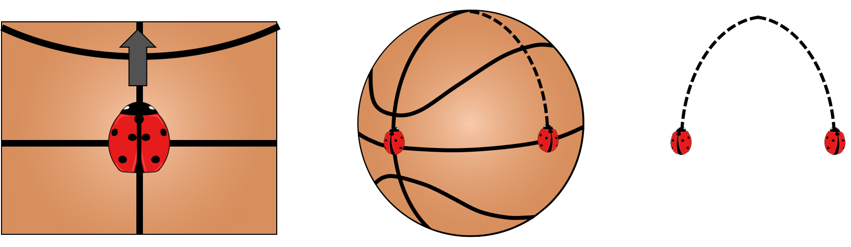 Left: A ladybug perceives itself to be moving in a straight line. Center: The basketball is curved, so the ladybugs follow curved paths. Right: What an observer would see if they didn't know the basketball was there.