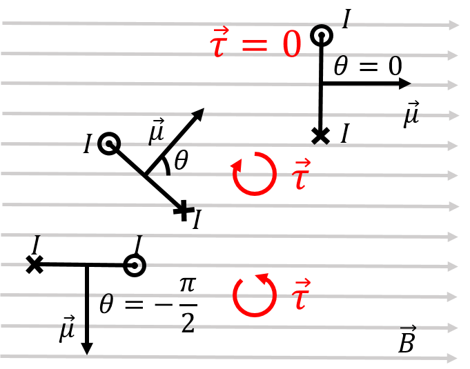 Three loops of current with different orientations relative to a uniform magnetic field. The loops are seen from above, and the current is shown coming in and out of the page on each loop, along with the corresponding magnetic dipole moment vector. 