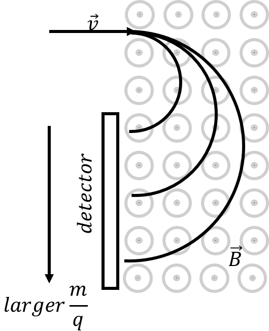 Illustration of how a mass spectrometer can separate ions based on their charge-to-mass ratio. A detector is placed to measure the number of ions that appear at each radius, allowing the composition of a sample to be determined.