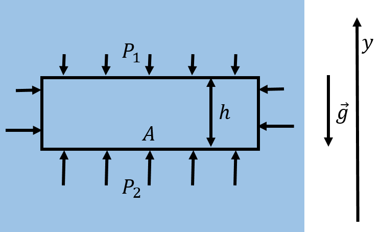 In the presence of gravity, the pressure below an element of fluid must be larger if the fluid element is to remain in equilibrium.