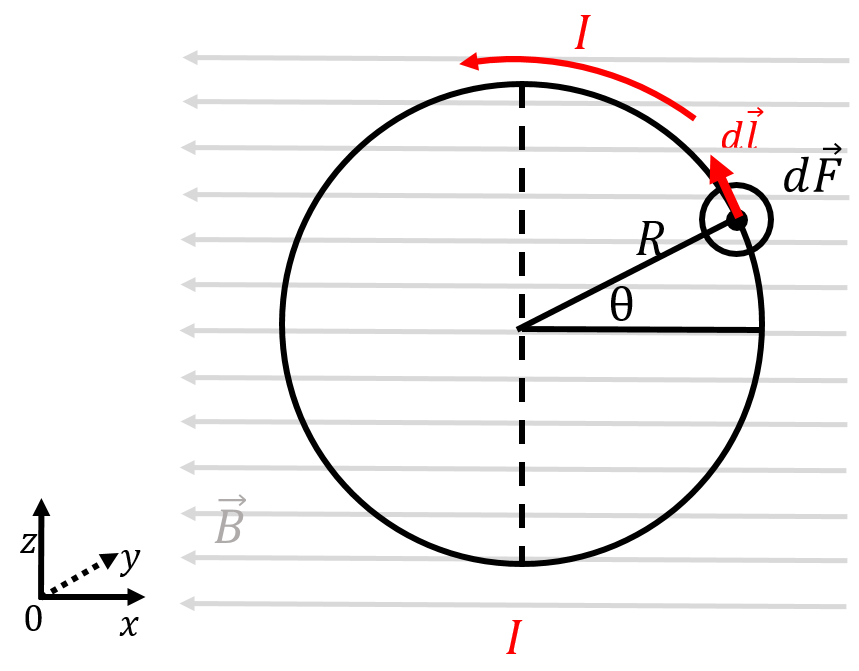 A current-carrying loop in a magnetic field.