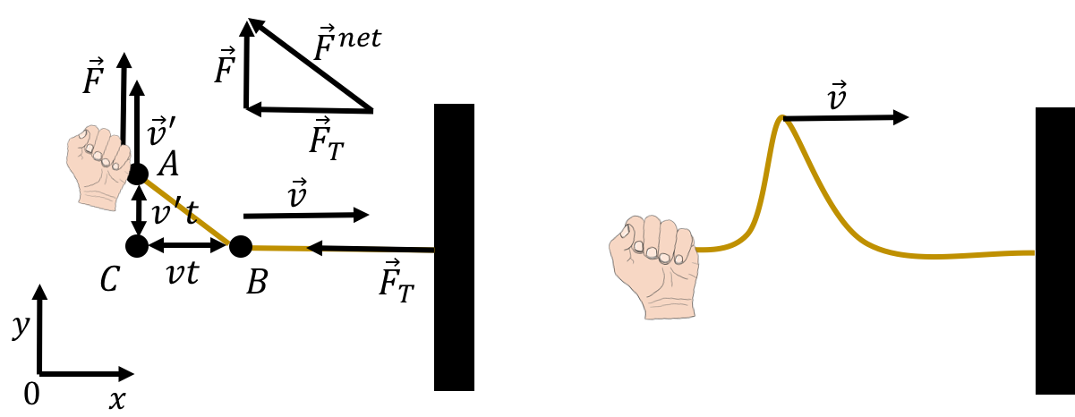 (Left:) Pulling upwards and then downwards on a horizontal rope causes a pulse to form and propagate. After a short period of time, a pulse is seen propagating down the rope (right).