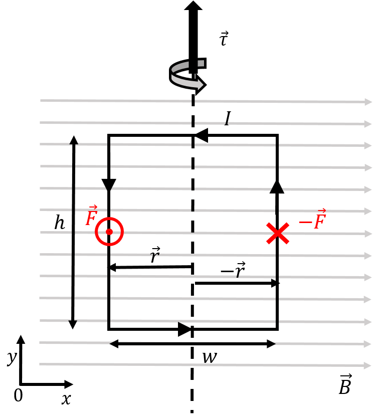 A rectangular loop carrying counter-clockwise current in a uniform magnetic field.