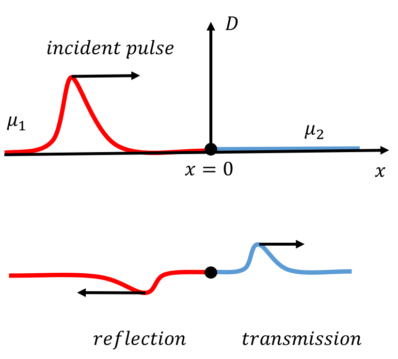 An incident pulse propagates through a rope connected to a another rope with a different linear mass density. When it reaches the boundary, part of the pulse is reflected and part is transmitted. Whether the reflected pulse is inverted or upright will depend on the reflection coefficient.