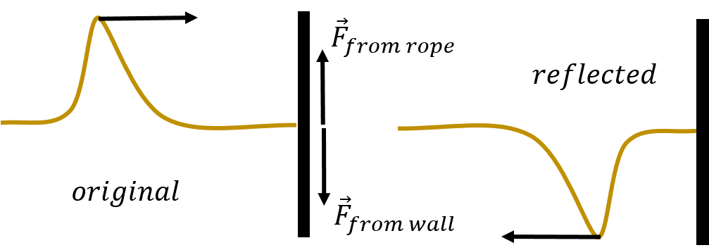 When the end of the rope is held fixed, the reflected pulse will be inverted.