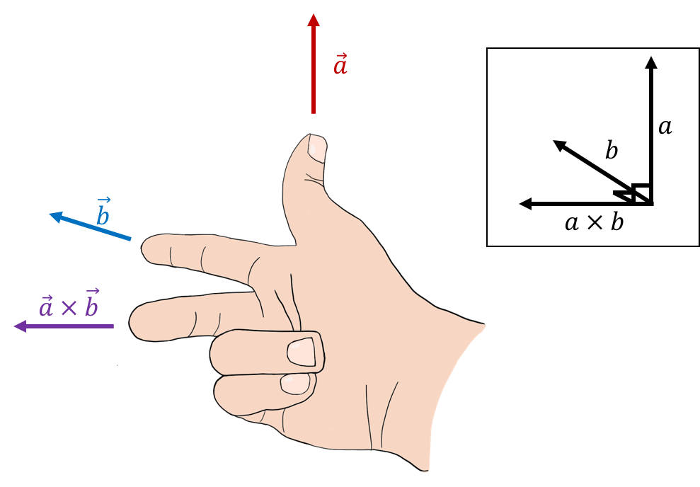 Using the right hand rule for cross products to find the direction of the cross product of vectors $\vec a$ (upwards) and $\vec b$ (into the page).