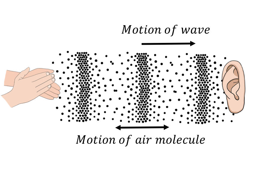 A longitudinal sound wave travelling through the air. The air molecules move back and forth in the same direction as the wave, but they oscillate about an equilibrium position instead of moving with the wave.