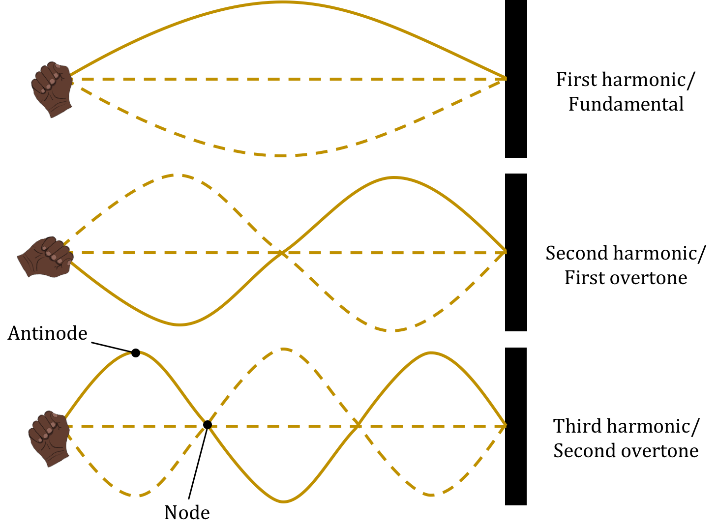 The first three standing waves on a string.