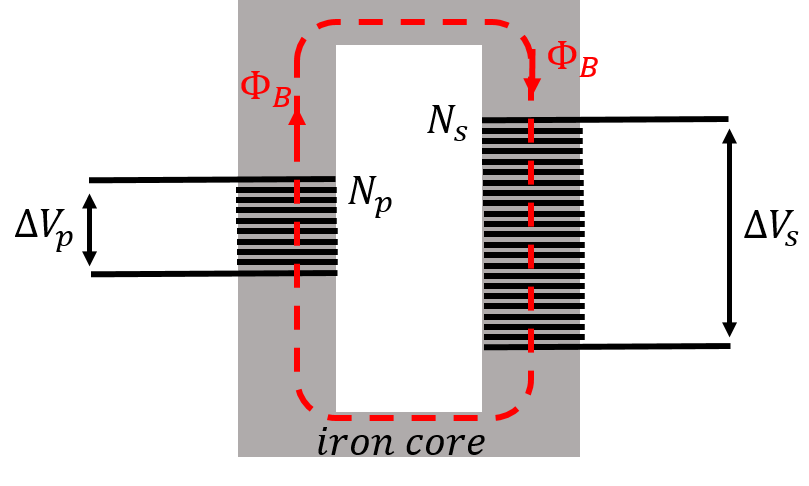 A transformer converts a primary alternating voltage, $\Delta V_p$, to a secondary alternating voltage, $\Delta V_s$. The magnetic flux produced in one coil is transmitted by an iron core to the secondary coil, where a different voltage is induced, depending on the ratio of the number of windings in each coil.