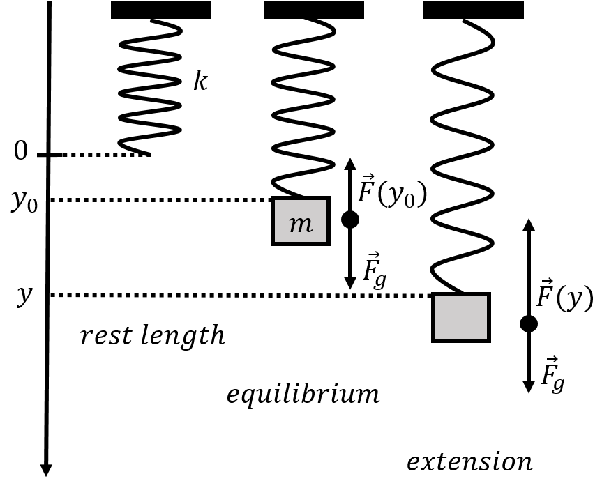 A vertical spring-mass system.