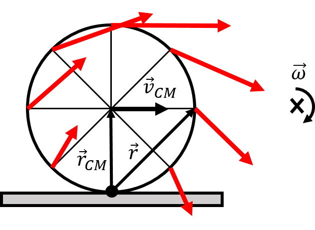 A wheel that is rolling without slipping, as viewed if rotating about the instantaneous axis of rotation that passes through the point of contact with the ground.